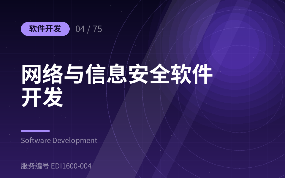 网络与信息安全软件开发