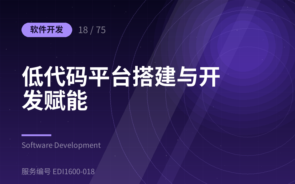低代码平台搭建与开发赋能