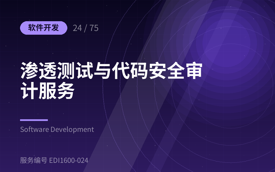 渗透测试与代码安全审计服务