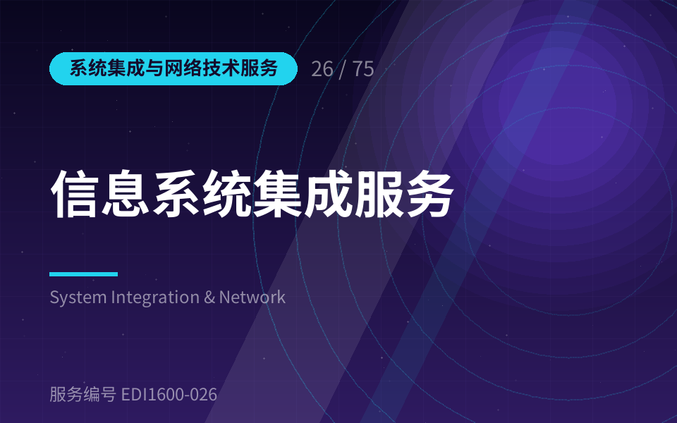 信息系统集成服务