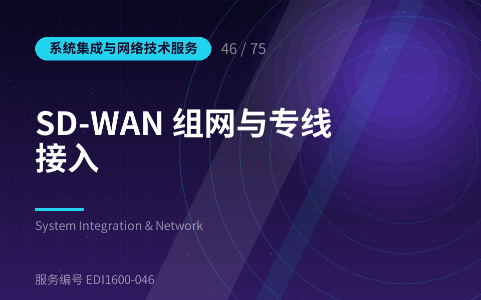 SD-WAN 组网与专线接入