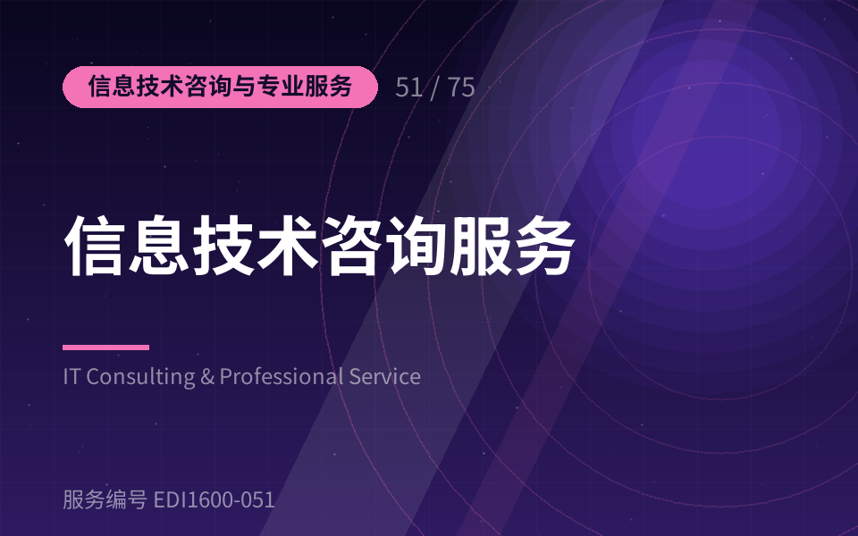 信息技术咨询服务