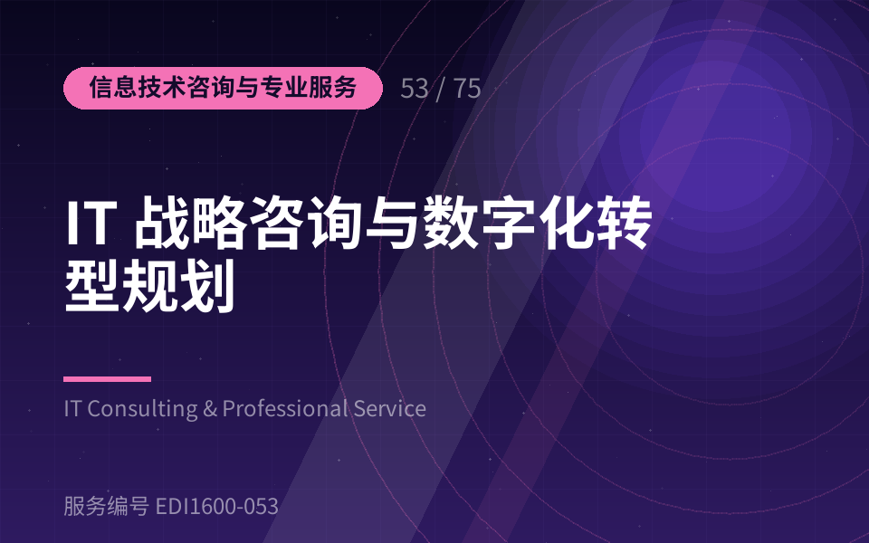 IT 战略咨询与数字化转型规划